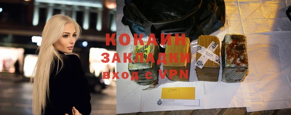 шишки Киренск