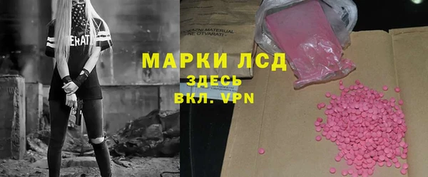 шишки Киренск
