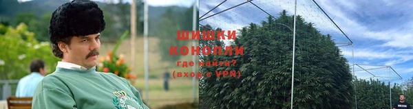 шишки Киренск