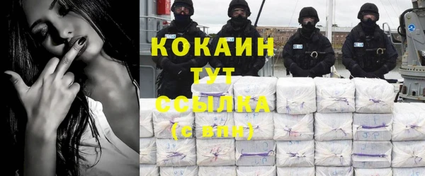 МДПВ Кукмор