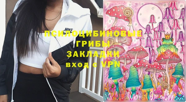 бошки Кулебаки